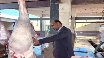 تحصين 725 ألف حيوان.. أسوان تشن حملة رقابية وتضبط كميات من اللحوم الفاسدة